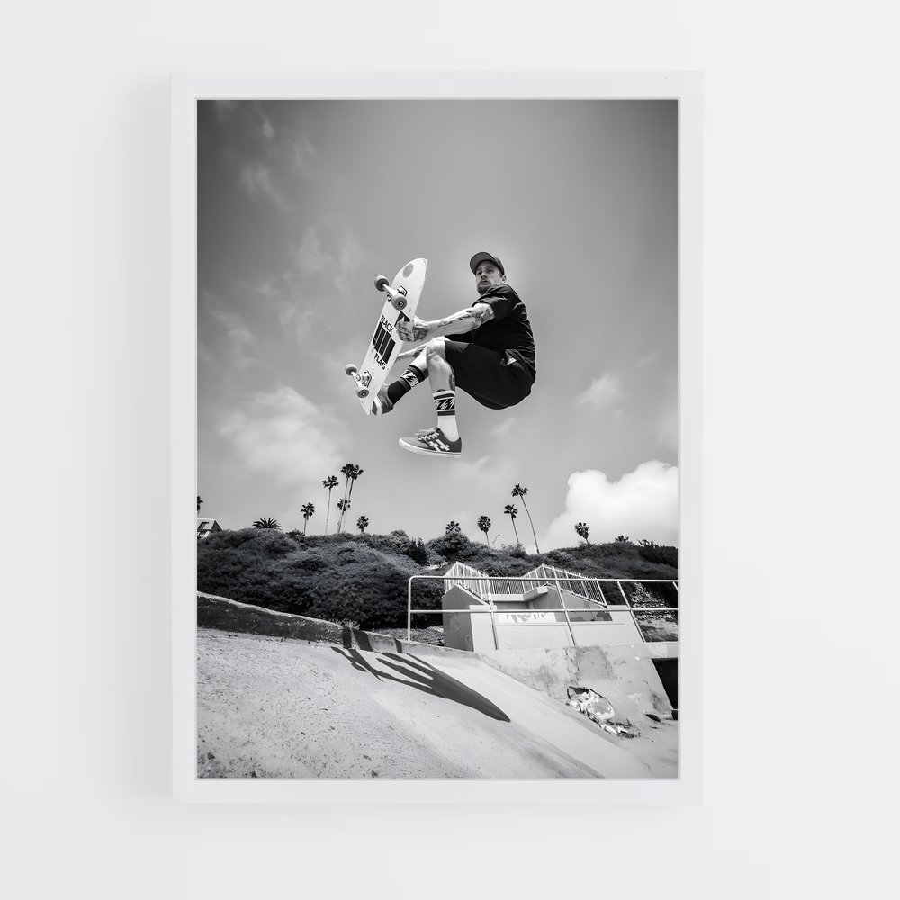 Poster Mike de vallely – affiche Skateboard (vue 3)